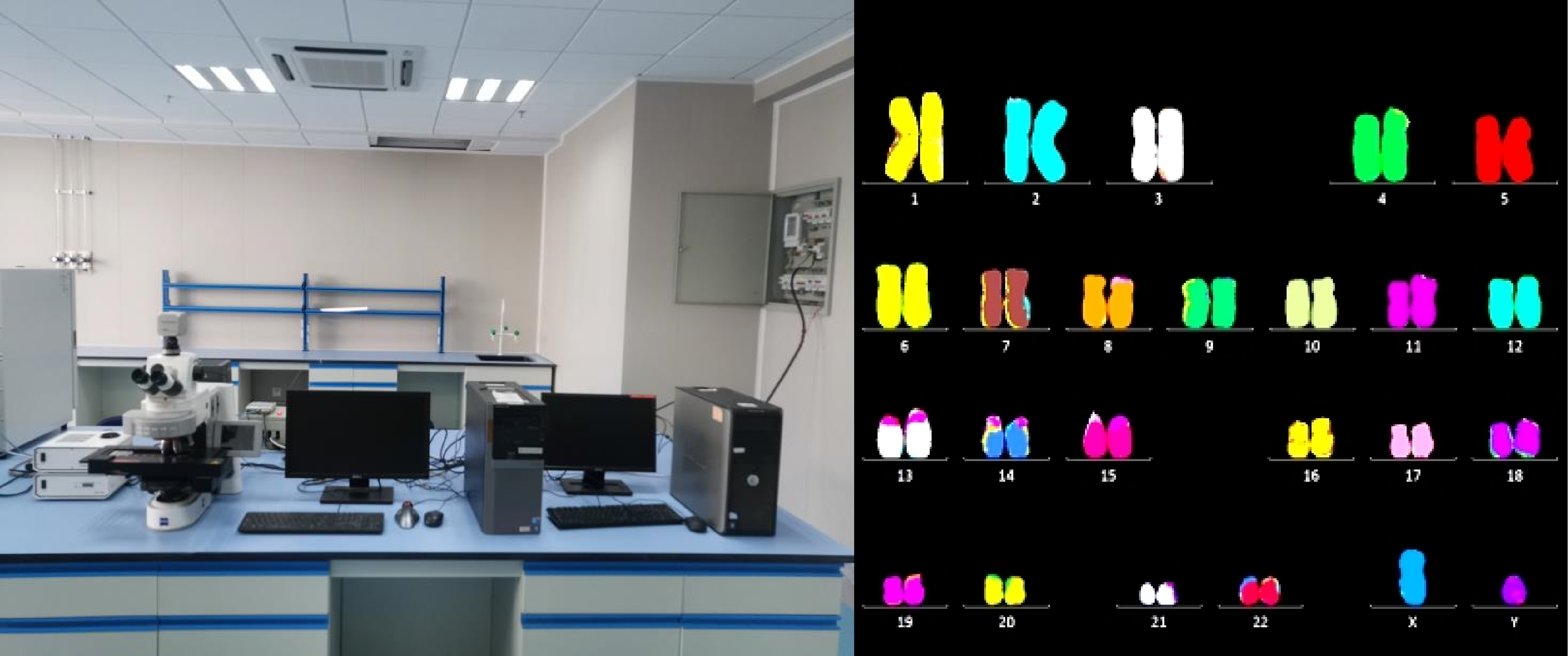 30.全自动细胞遗传学显微图像分析系统.png